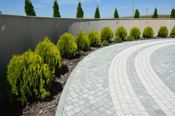 Best Decorative Driveway Pavers  in Boca Raton, FL